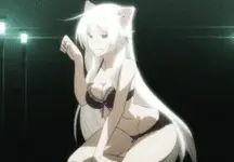 Kitty taquine!