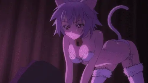 猫猫出击！