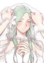 Lift the veil