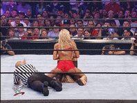 [Finisher] Wrestling Pin