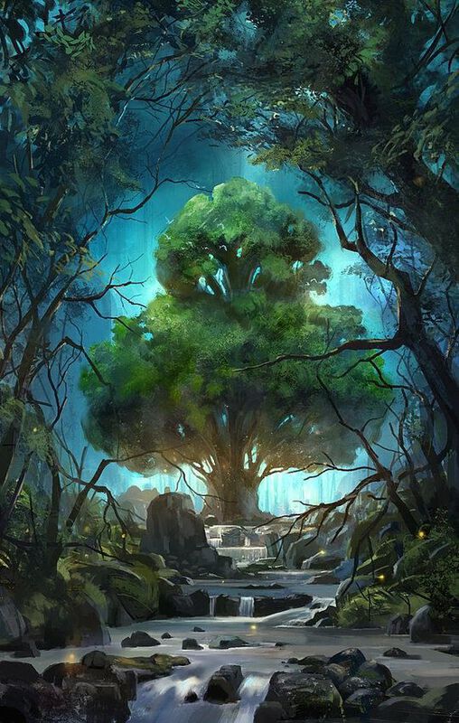 Explore: Enchanted Forest