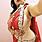 savita