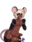 Markus: Exciteable, Friendly and peppy mouseboy~