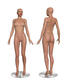 Training Dummy: She's a dummy. Also a dummy [no games]