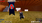 Rknight: Male 26 woolly Dragon Knight