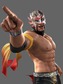 Masked Wrestler