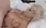 Bimbo Whore Kandy:  Prefer Roleplaying - using a bimbo speak translator until I win 10 games...