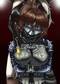 Kinky Nerd :\÷/:: My boundaries are gone... My only limits are your imagination. 