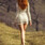 April Fayes: Looking for a nice roleplay
